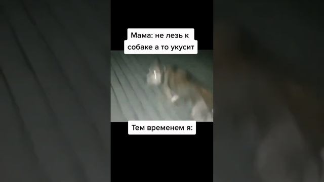 #fyp #shorts #memes (4) смотреть онлайн