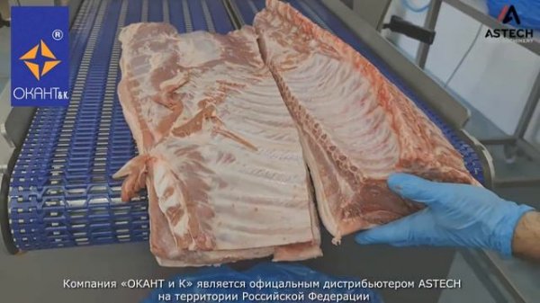 Автоматическая ленточная пила ASTECH модель CC2-H (Испания).