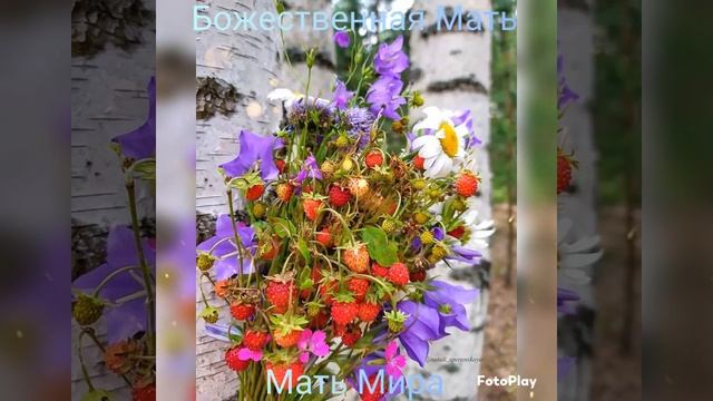 Поток Матери Мира.✨️ Божественная Мать.✨️ смотреть онлайн