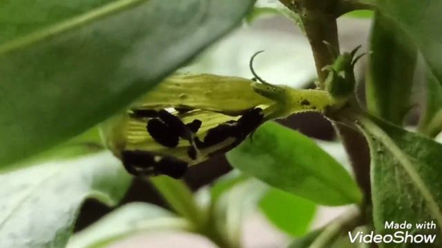 Ремонтная Мастерская