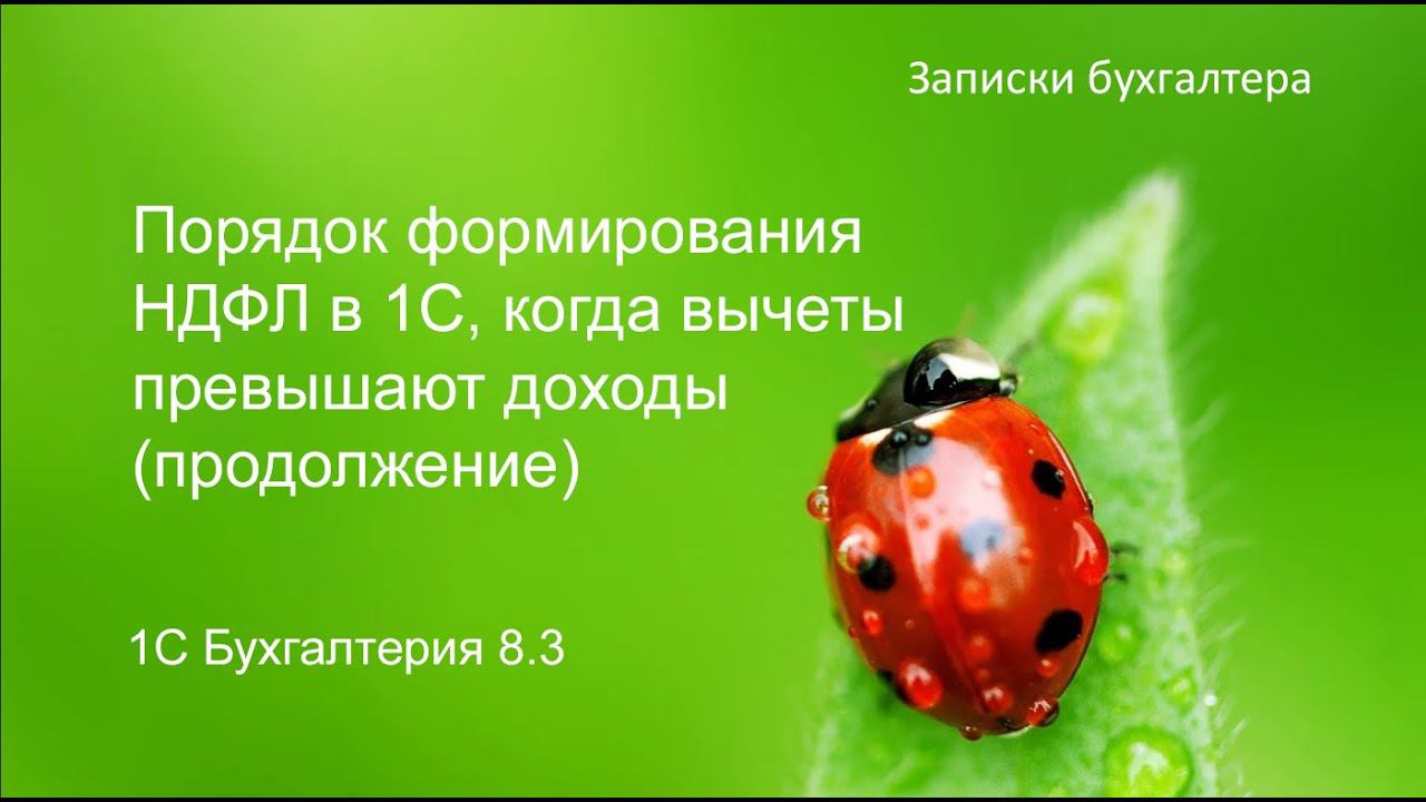 Порядок формирование НДФЛ в 1С когда вычеты превышают общую сумму доходов. (Продолжение) смотреть онлайн