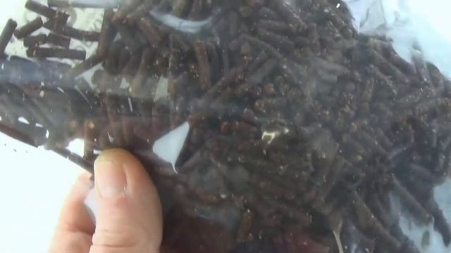 Активатор клева ICY сухая кровь, арт. Z0000015184 смотреть онлайн