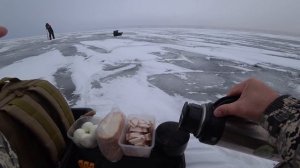 Судак на КЛОПА! Рыбалка на ВОЛГЕ! Зимняя рыбалка на судака!