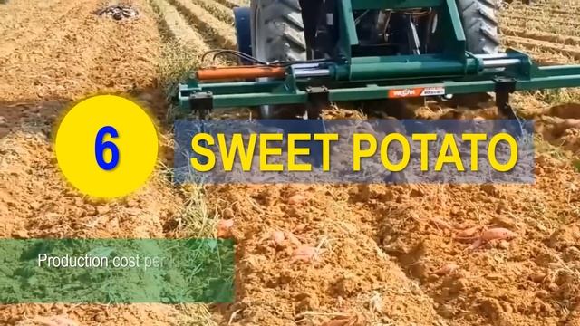 Top 10 Most Profitable Farming Business in the Philippines per Return on Investments % Hectare 202 смотреть онлайн