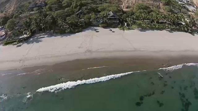 Всё идет правильно Nikosho