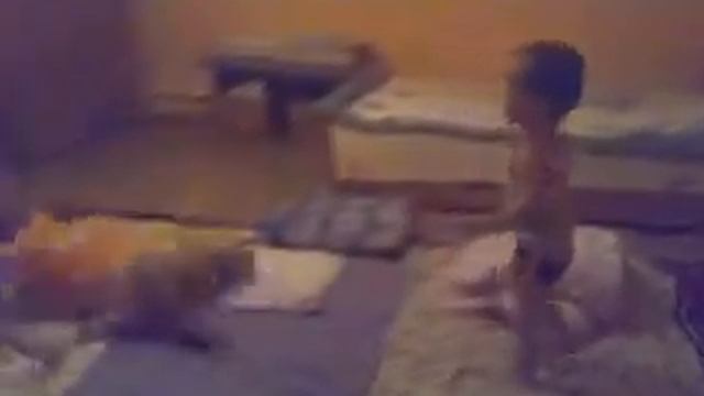 Да мальчику 3 года а он накоутировал свою сестру! смотреть онлайн