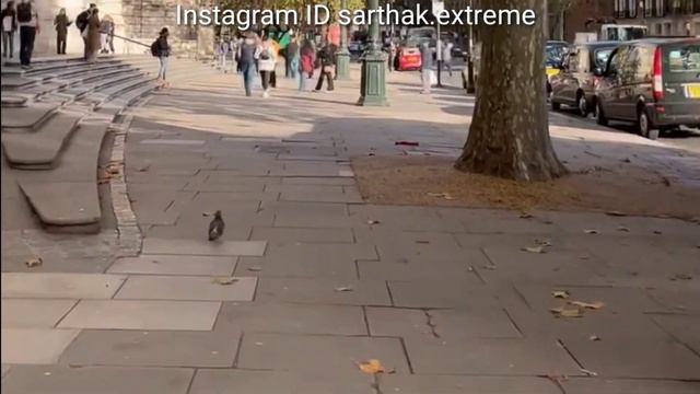 Italy Work Permit Visa 2024,Italy Visa New Update 2024,Italy Seasonal Work Visa 2024,Italy Work Vis