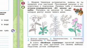 Окружающий мир. Рабочая тетрадь 2 класс 1 часть. ГДЗ стр. 40 №5