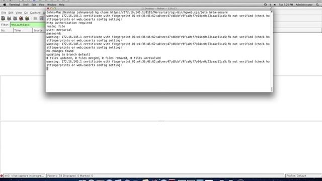 Secure Mercurial Repository on GlassFish 3.1.1 смотреть онлайн