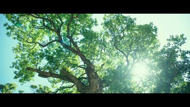 Маленький лес 2018