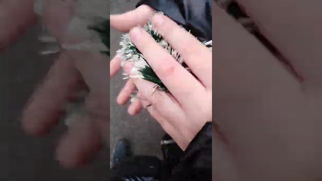 Страшная история от Кэтти👻👽👾! Слабонервным не смотреть!!! смотреть онлайн