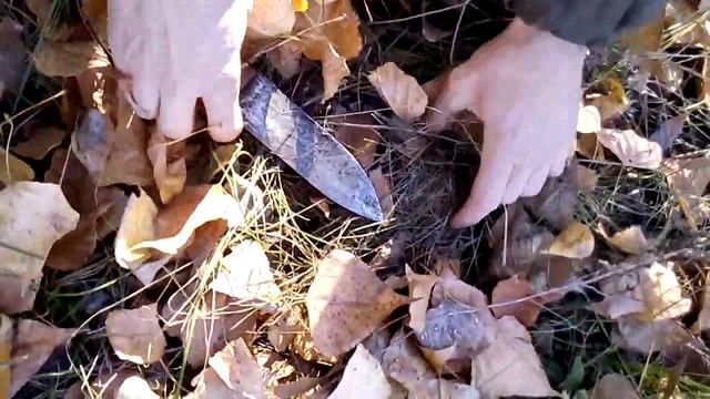 Грибы тополёвка .грибная охота .Ростовская обл . смотреть онлайн