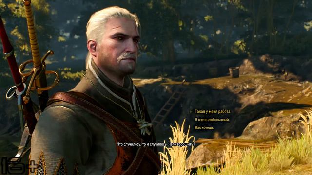 The Witcher 3 Wild Hunt -Дикая охота #71:Заказ:Тайна деревни Стёжки. смотреть онлайн