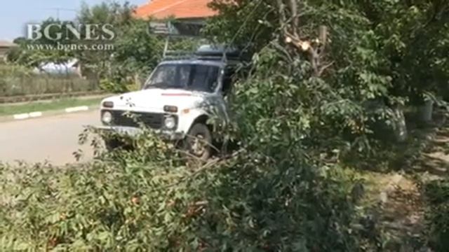 Пострадалите земи в Сливо Поле нямат застраховки смотреть онлайн