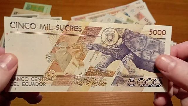 Обзор новинок. смотреть онлайн