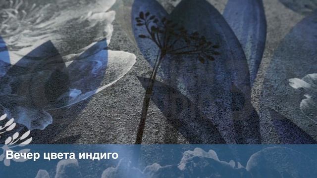 3D Фотообои «Вечер цвета индиго» смотреть онлайн