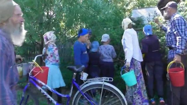 Сбор малины и крыжовника. 15. 07. 2020 смотреть онлайн