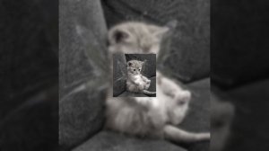 ?☆плейлист песен из детства||  И Speed up  плейлист♡ спасибо  вам за 600 подписчиков ♡♡