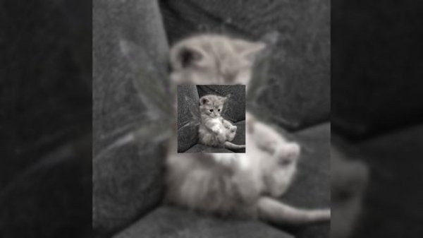 ?☆плейлист песен из детства|| И Speed up плейлист♡ спасибо вам за 600 подписчиков ♡♡