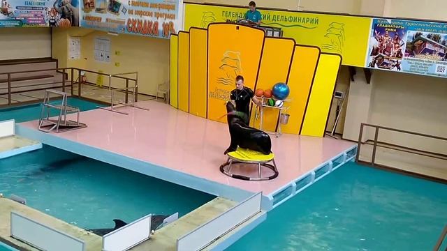 Геленджик дельфинарий ч1 смотреть онлайн