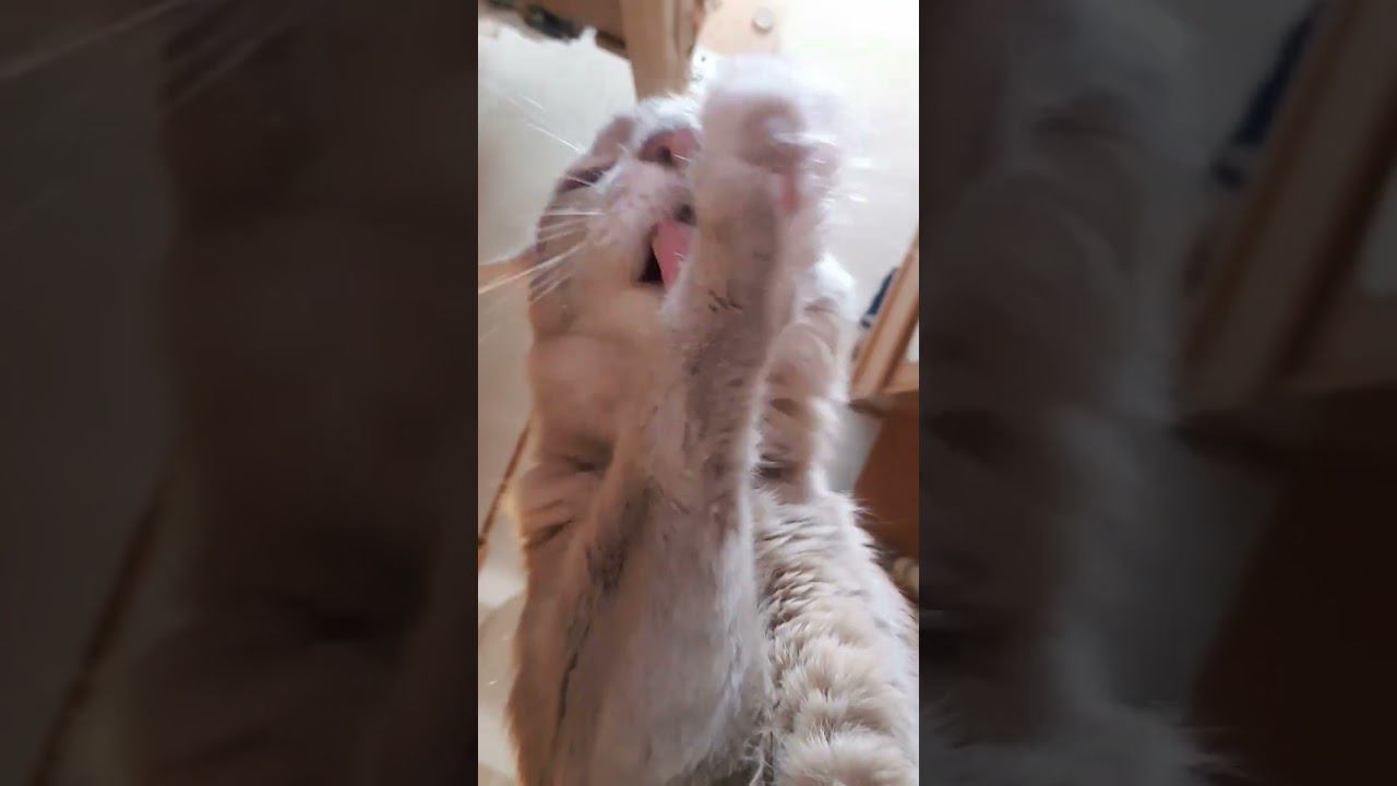 Левка смотреть онлайн