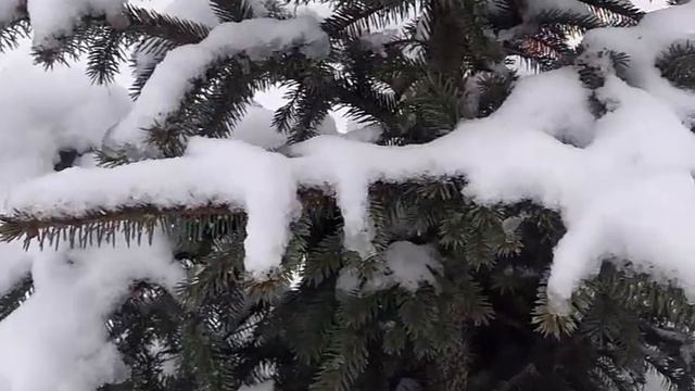 Новогодние стихи про ёлочку, Деда Мороза детям на русском языке смотреть онлайн