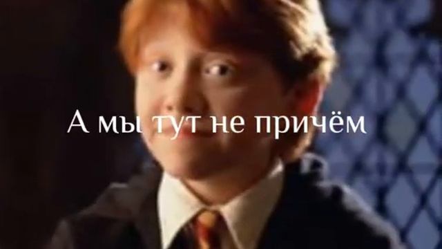 Действительно, почему? 🤔 смотреть онлайн