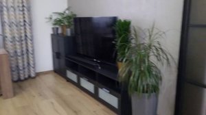 Комнатные растения в интерьере