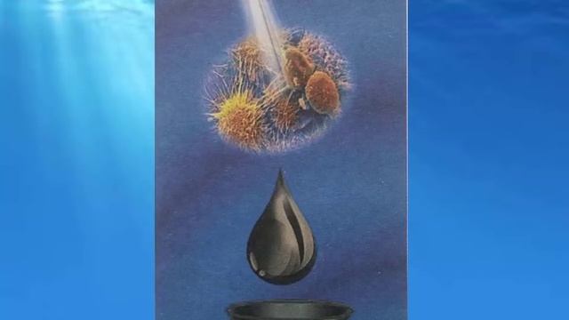 Учение Аркадия Петрова Древо Жизни Луч Рибо 1 смотреть онлайн