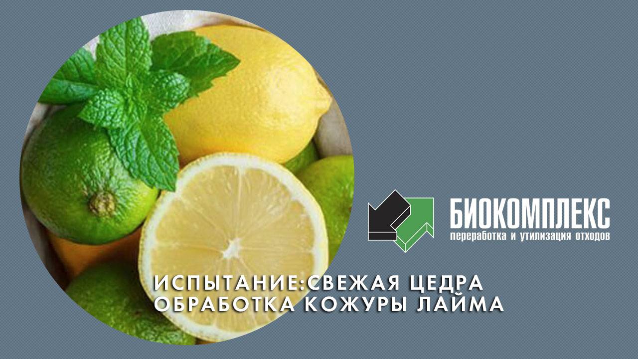 Испытание: свежая цедра / обработка лайма смотреть онлайн