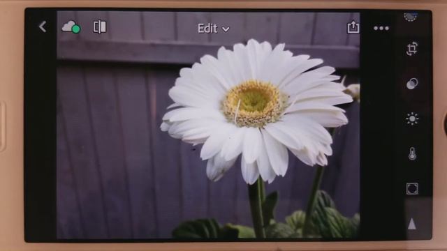 Free iPhone Manual Mode, RAW files, and Editing with Adobe Lightroom Mobile смотреть онлайн