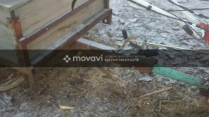 МОТОБЛОК ФИРМЫ BRAIT 135, 15 Л.С. НАДЕЖНЫЙ ПОМОЩНИК