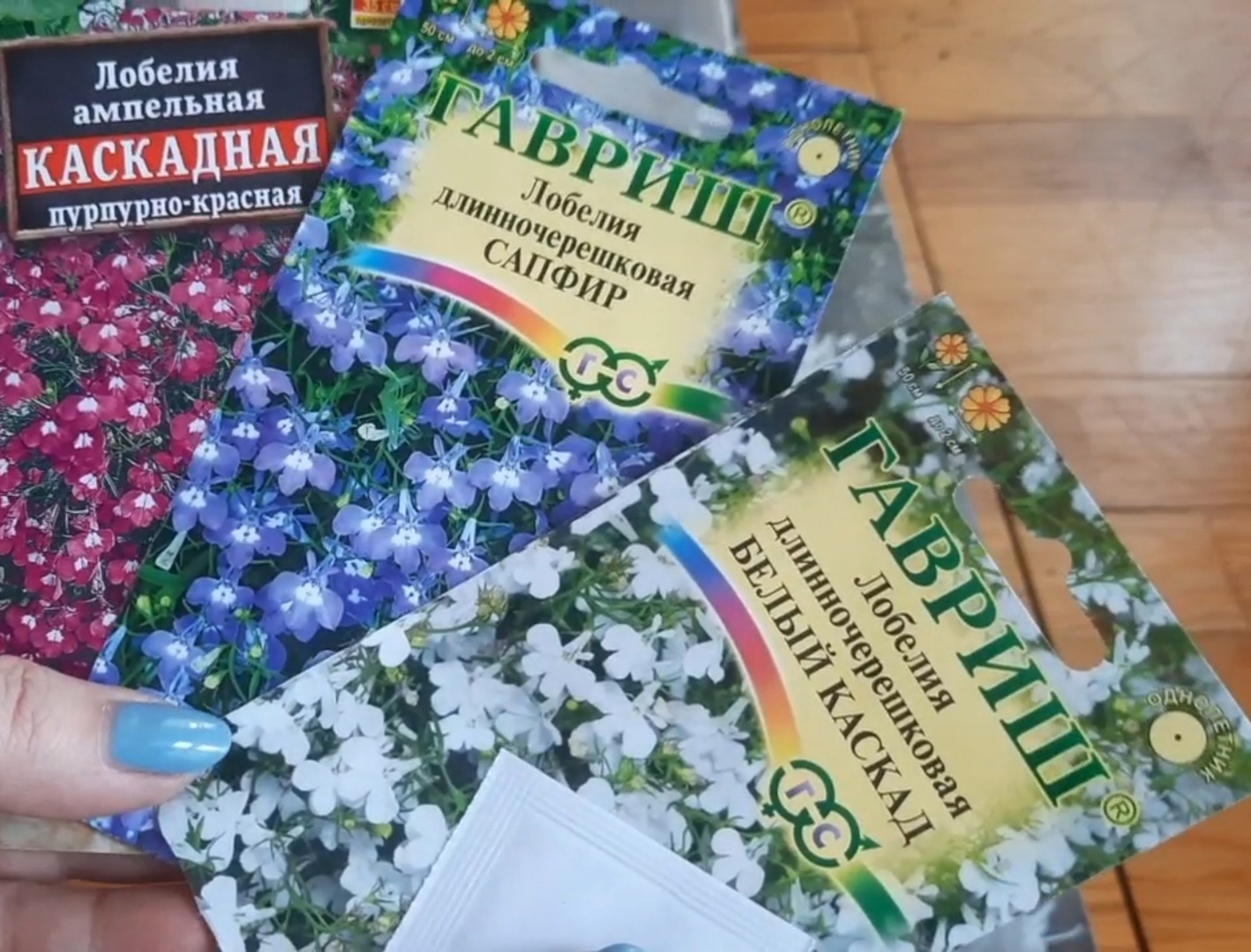 Лобелия, мой способ посева семян. смотреть онлайн