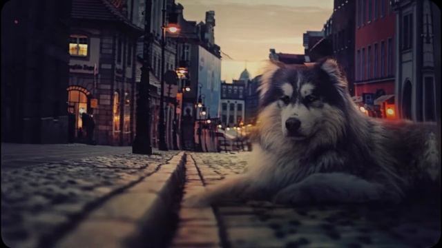 Хранитель Снов - Ревью №2 - PhotoSpy смотреть онлайн