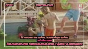 Фруктовый сад — «Об иммунитете забота - наша общая работа» в 8х быстрее | PRO Рекламу