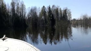 Наша поездка на Пильву 2019г