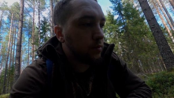 Охота на реву 2020, добытый лось и Dedal Venator 640