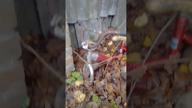 Мой старый детский велосипед стал элементом мусором в моем дворе смотреть онлайн