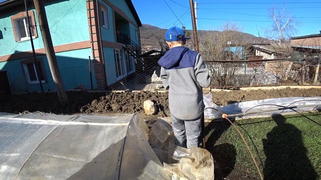 Всходы семян Ялтинского лука смотреть онлайн