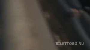 Театр Терезы Дуровой, схема зала, партер