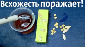 Если и замачивать семена то только в этом! Дешевое средство и такой результат! семена в Рибав экстра