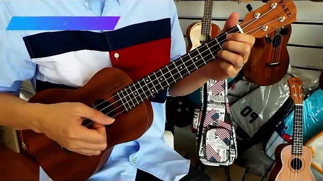 YAEL Mahogany Tenor (Y-01T) смотреть онлайн