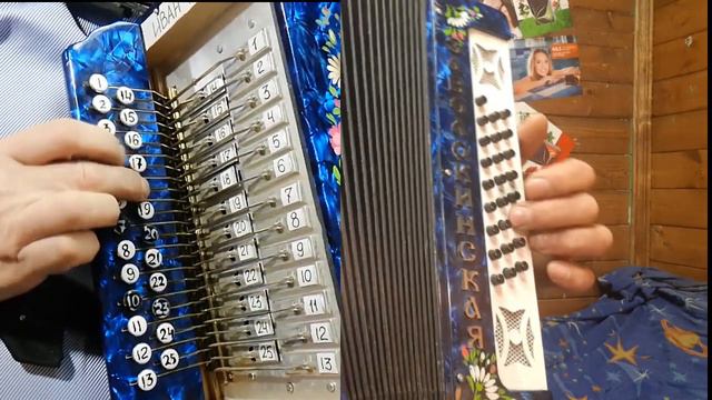 РАЗБОРЫ ПОД ГАРМОНЬ! СТАРЫЙ КЛЕН! смотреть онлайн