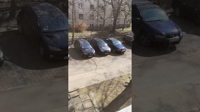 Москитный шторы на окна #antonrudinskii #сербия #москитныесетки смотреть онлайн
