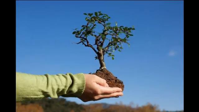 Как правильно жить что бы полностью реализовать все свои желания1221 смотреть онлайн