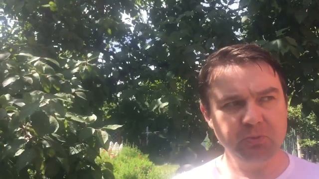 Кошмар или страшный сон Садовода Огородника Дачника смотреть онлайн