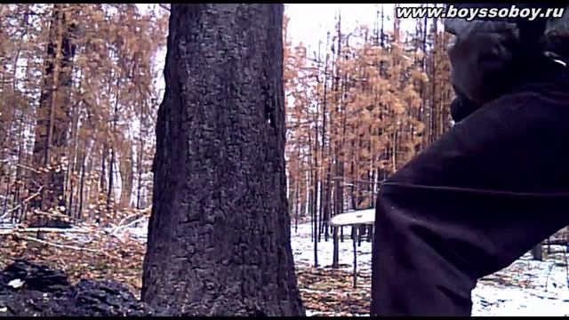 Заготовка дров, повал леса, вывоз смотреть онлайн