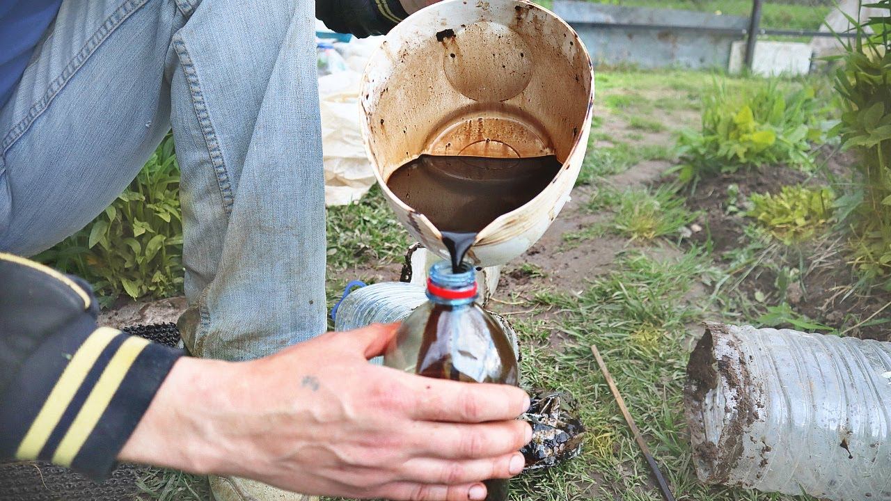 При какой температуре работает Фитоспорин? Что такое фитоспорин?Как хранить фитоспорин? смотреть онлайн