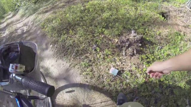 Пусть наши леса будут чистыми! смотреть онлайн