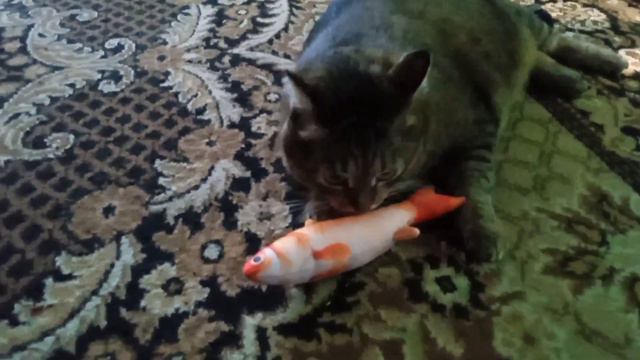 ПЕРВАЯ реакция КОТА на РЫБКУ с мятой и валерьянкой.